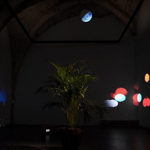 Sans titre, 2019 Installation, vidéo 2’52”, plante, béton, polystyrène.